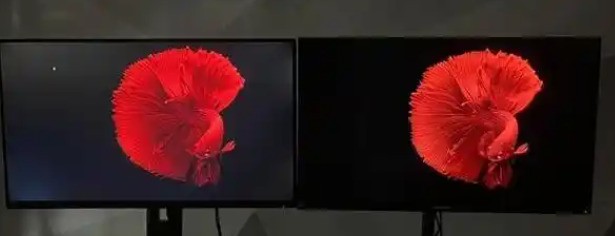 谁是一哥？OLED与MiniLED买谁才是对的？