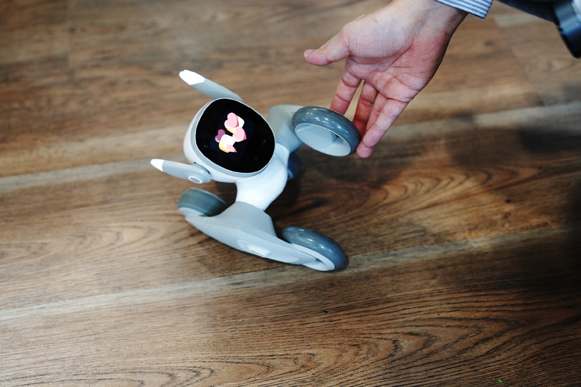 既能情感交互又能为办公提速！Loona Deskmate让打工人效率翻倍