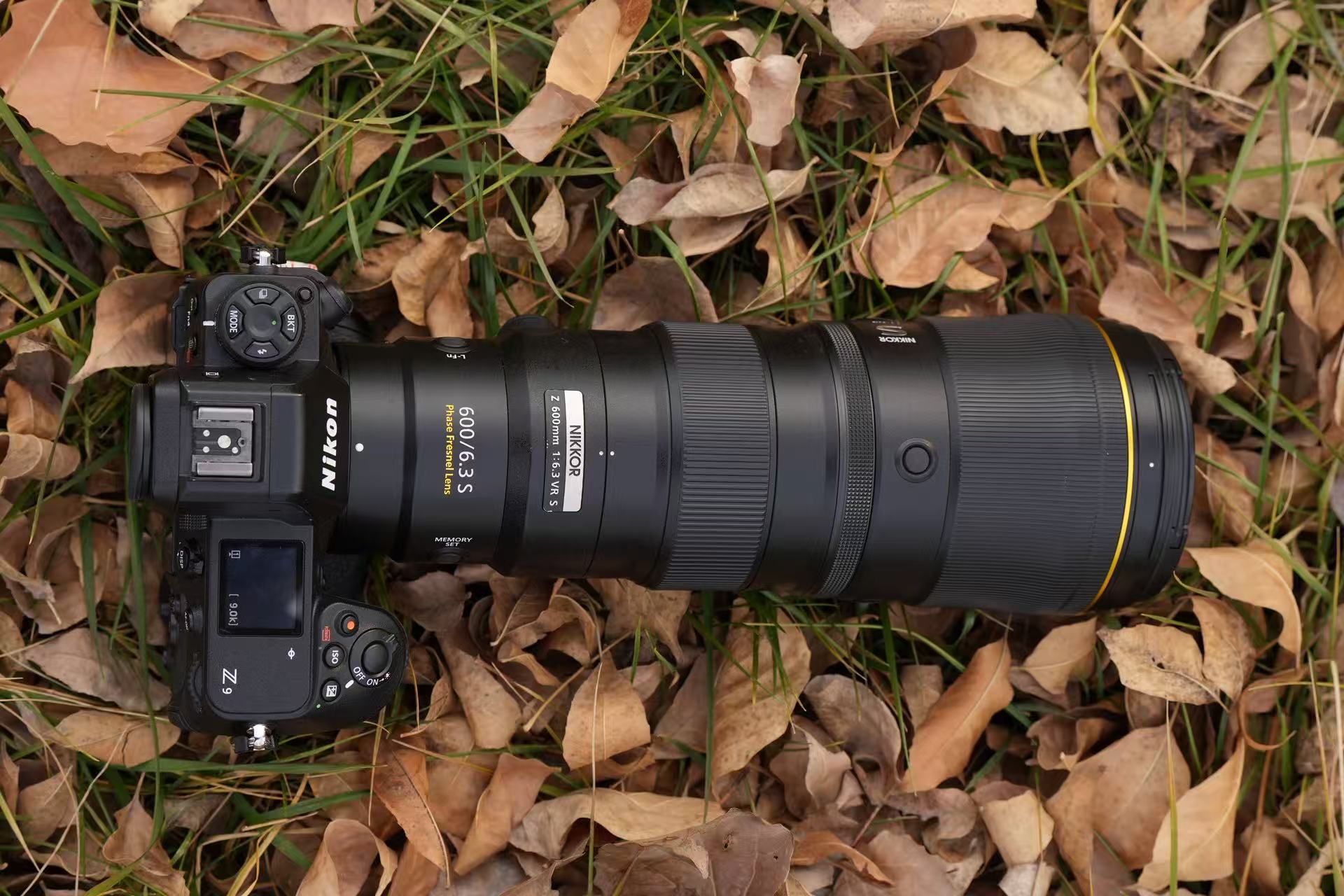 迅翼凝眸 尼康Z9+尼克尔 Z 600mm f/6.3 VR S生态摄影体验