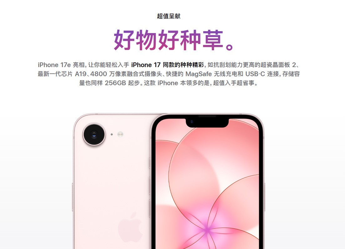 苹果“入门级”定价太高了？不如看看旧款“高替”