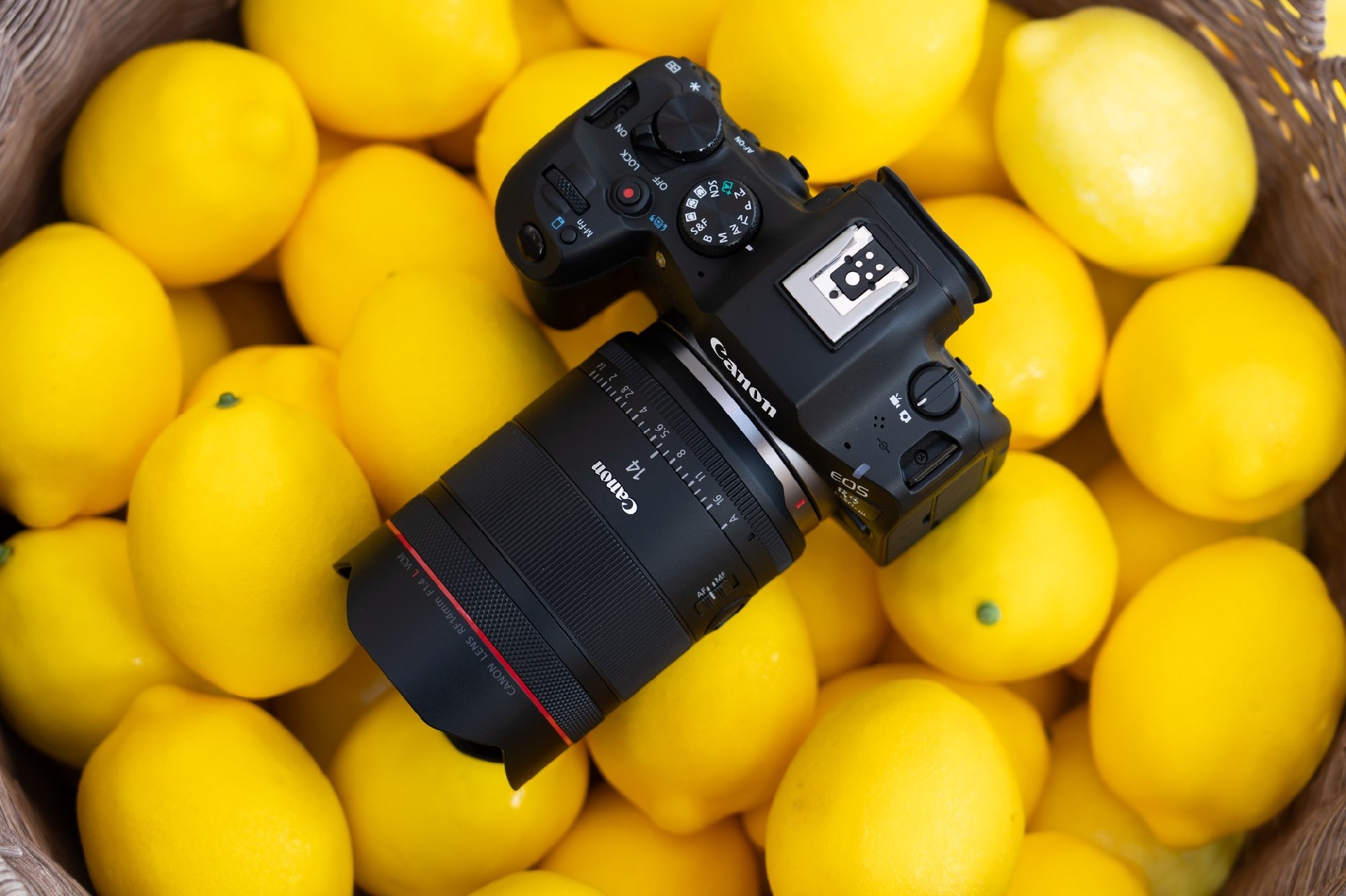 佳能RF14mm F1.4 L VCM体验评测