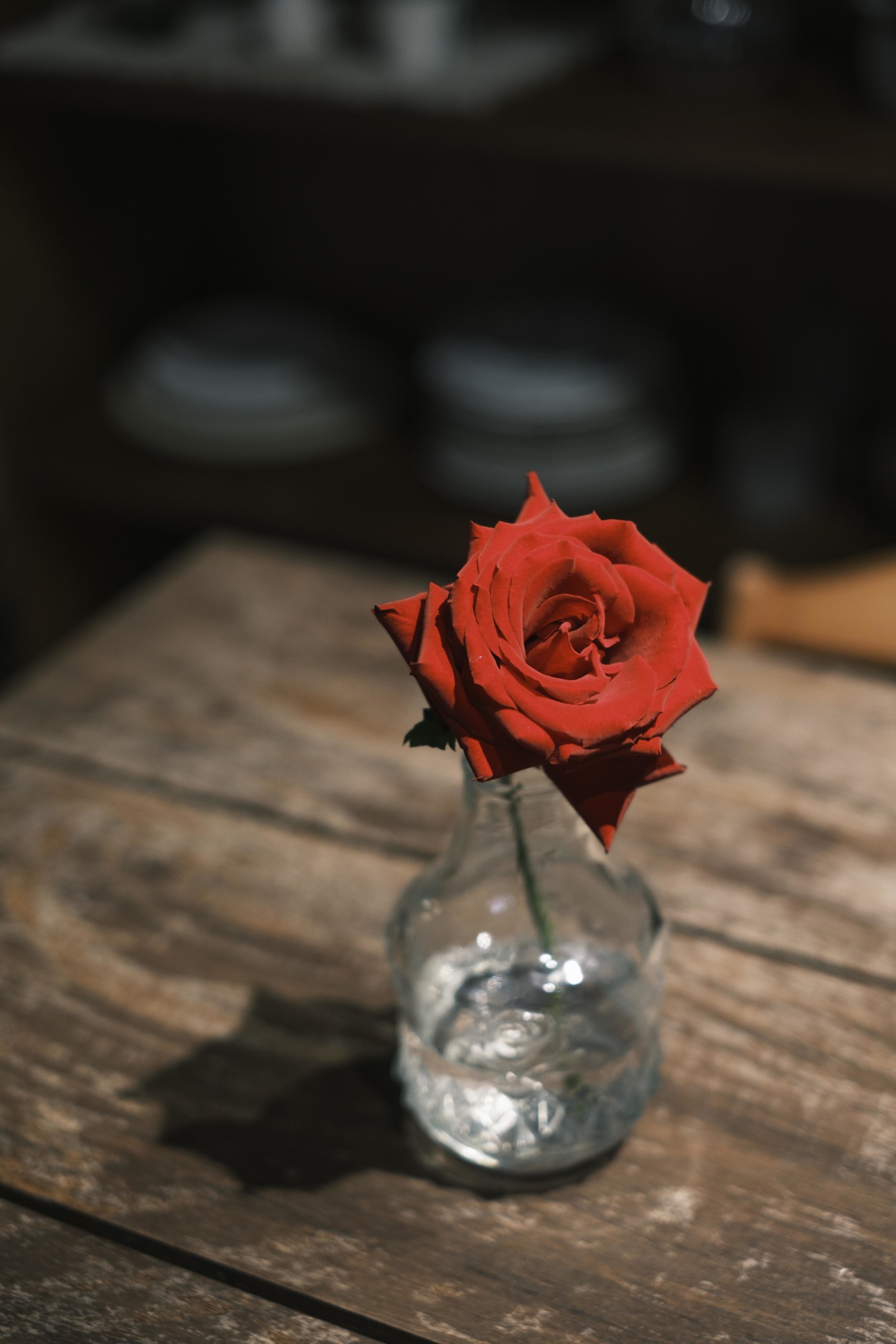 轻巧随行 画质出众 富士X-T50摄影体验