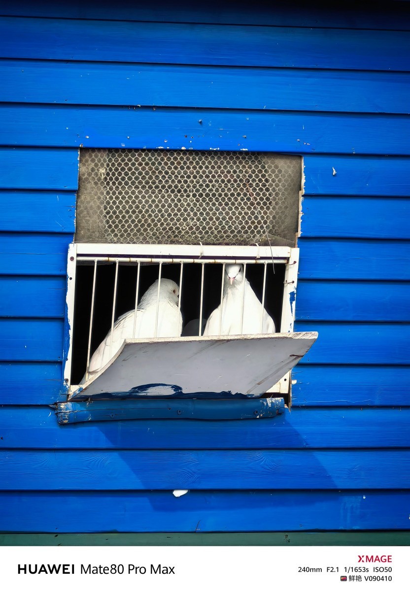 华为 Mate 80 Pro Max风驰版全面评测：把风吹进旗舰