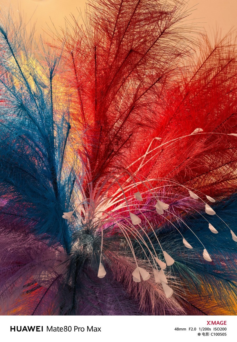 华为 Mate 80 Pro Max风驰版全面评测：把风吹进旗舰