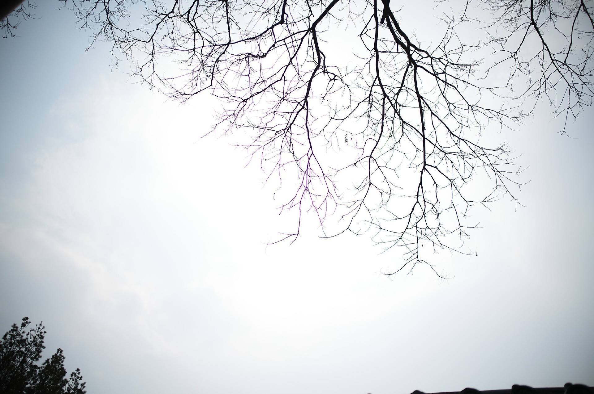 72800元徕卡新夜神 徕卡Noctilux-M 35mm f/1.2 ASPH.镜头拍摄体验