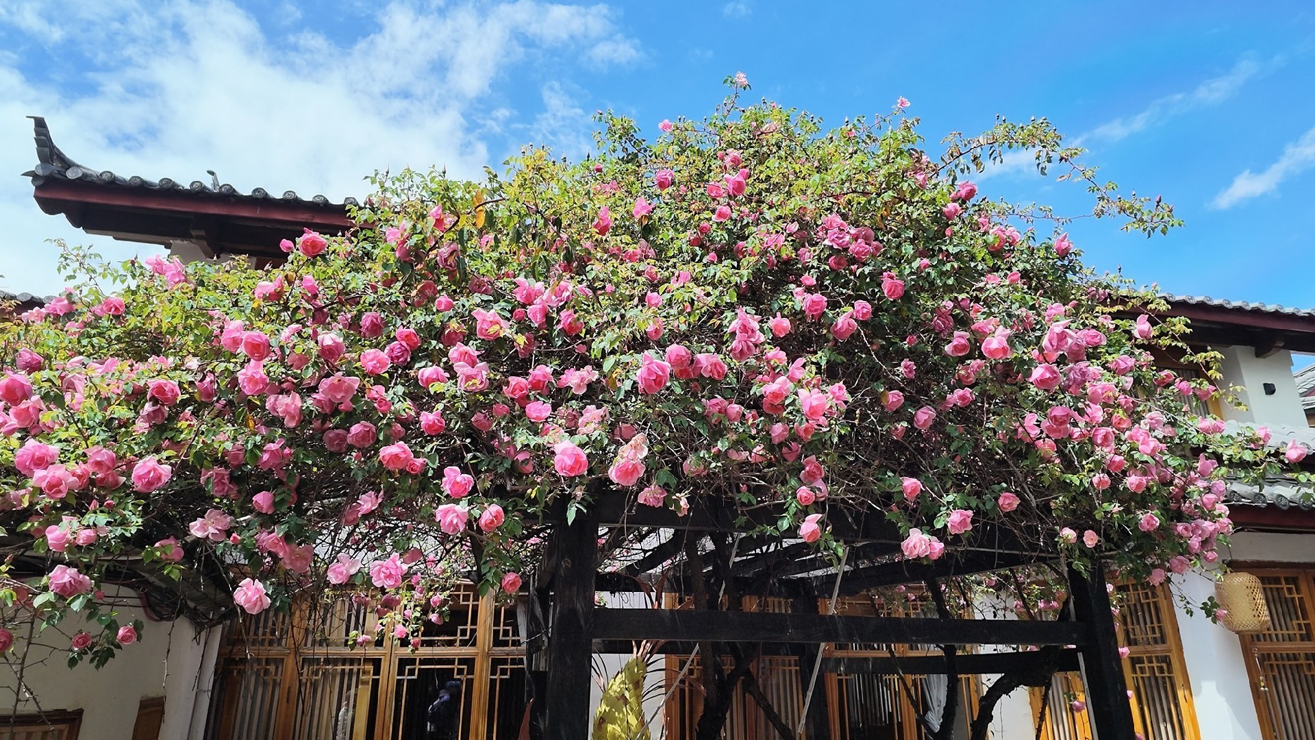 DJI Osmo Pocket 4评测：全新1英寸传感器，体验再升级的口袋云台相机