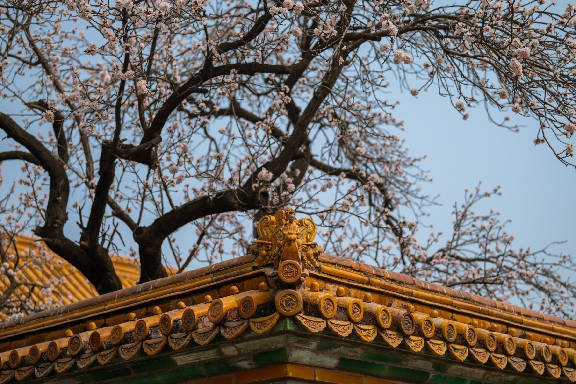 更轻 更强 尼克尔 Z 70-200mm f/2.8 VR S II镜头体验评测