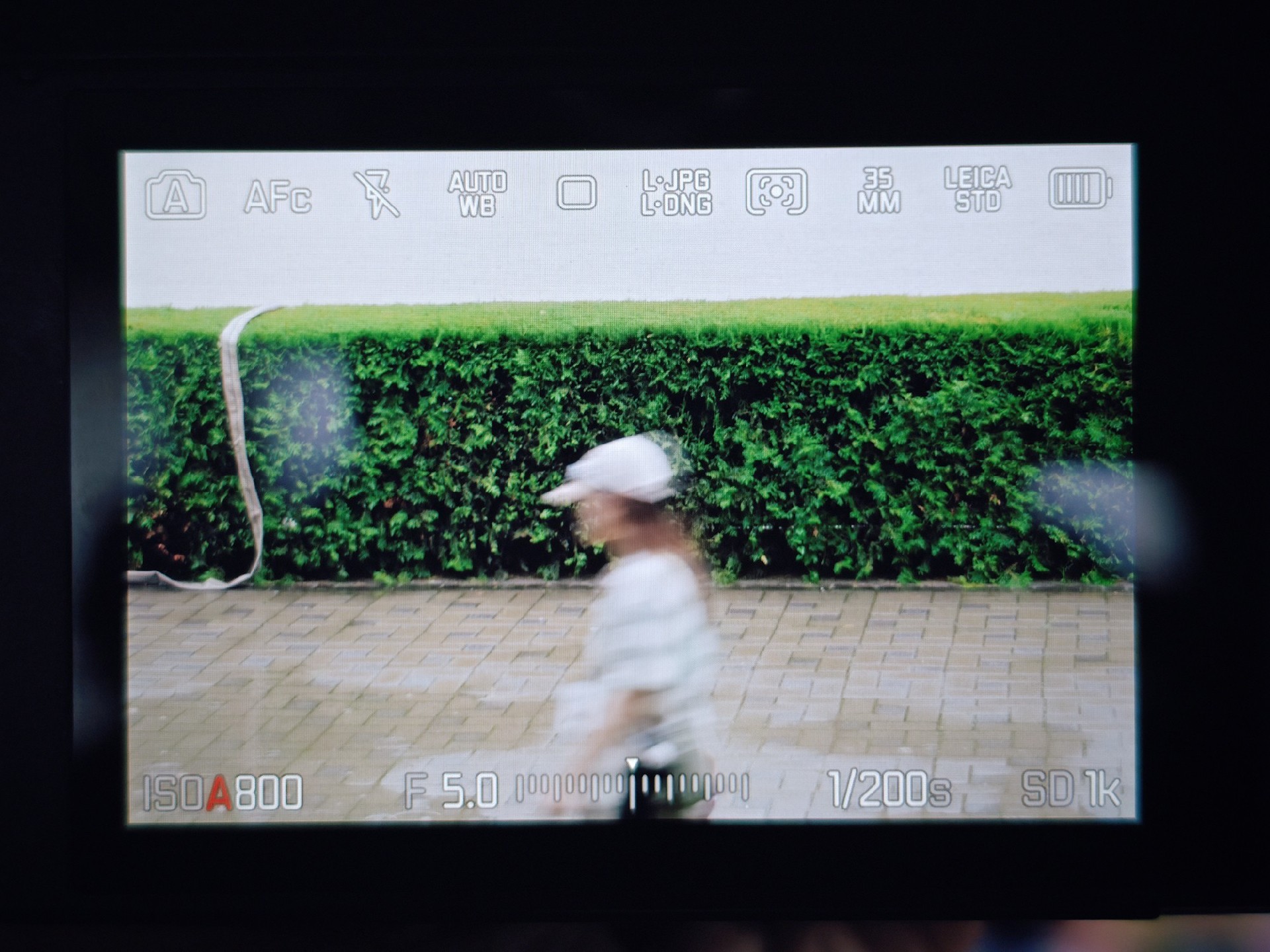 徕卡SL3-P拍摄初体验：一台性能均衡的徕卡微单旗舰